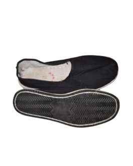 Kung Fu Shoes