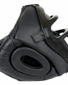 Head Guard with Face Mask